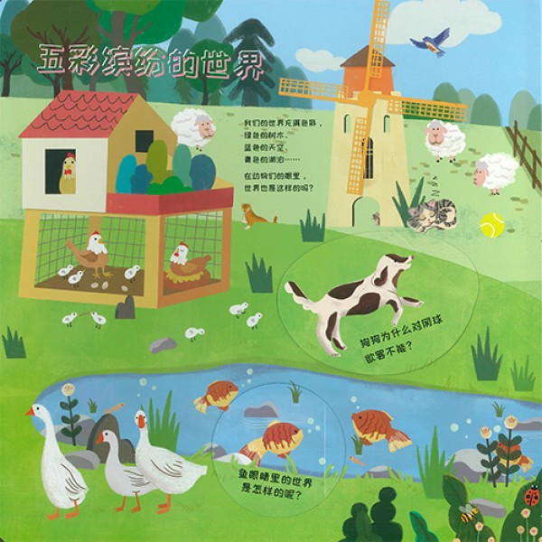 Chinese Kids Books